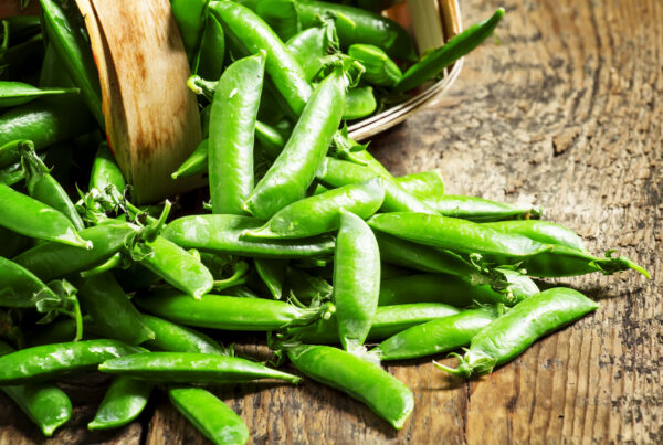 Pea