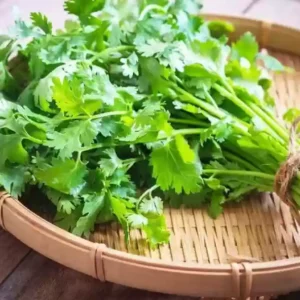 * धनिया (Dhaniya) - Coriander