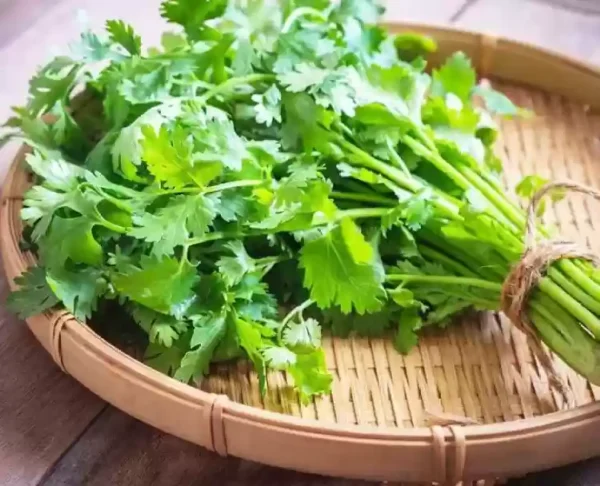 * धनिया (Dhaniya) - Coriander