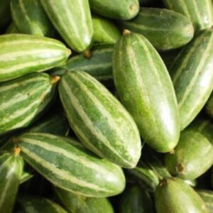* परवल (Parwal) - Pointed Gourd