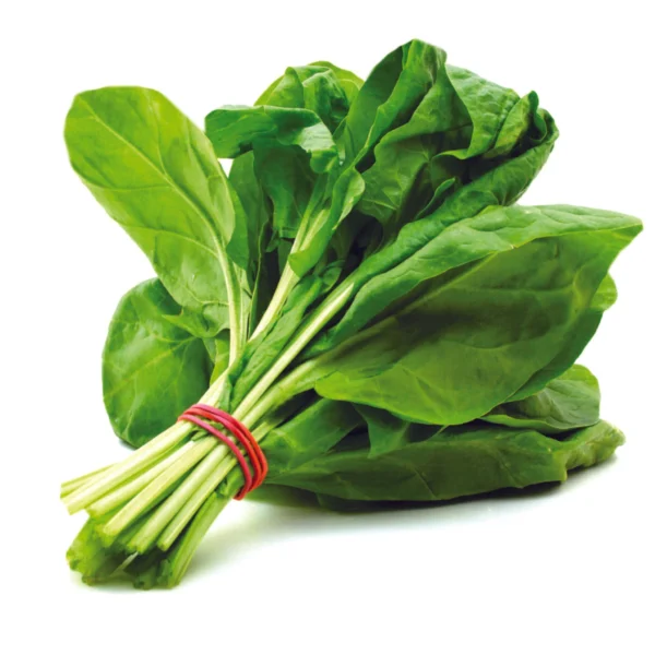पालक (Palak) - Spinach - Image 2