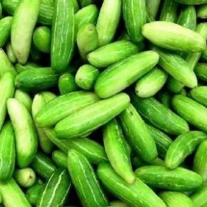 Ivy Gourd (kundari)