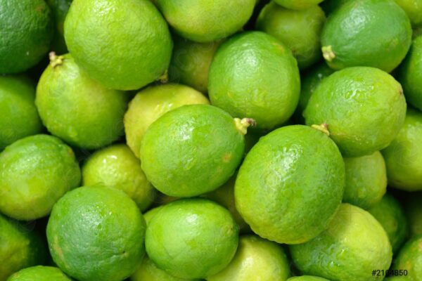lemon /pcs - Image 2