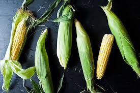 Bhutta ear (of corn)