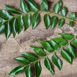 Curry leaves