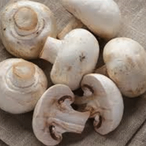 Mushroom (200g)